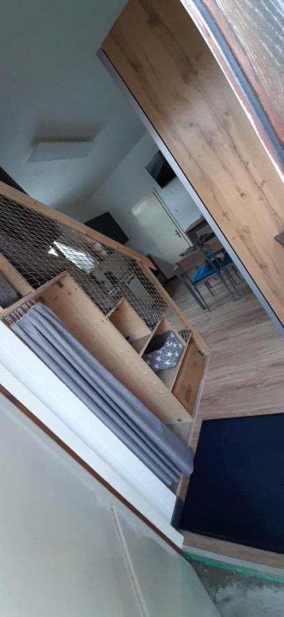 Einzimmerwohnung Am Lechweg Wängle Dış mekan fotoğraf